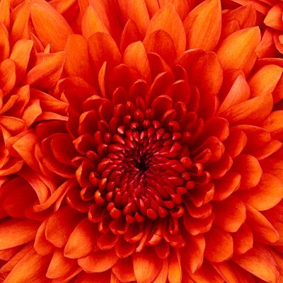 Profile Picture of Rene L Ray (@ReneLRay1) on Twitter