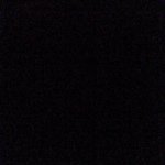Profile Picture of david padula (@davelovex) on Instagram
