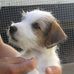 Profile Picture of Eddie Parson (@Eddie-Parson) on Facebook