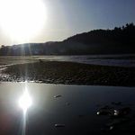 Jason Cyrus - Instagram Profile Picture of Jason Cyrus (@orangebug73) on Instagram