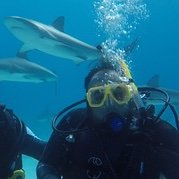 Profile Picture of Matt Rizzo (@magnum_matt) on Twitter