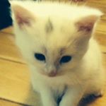 Profile Picture of erika barlow (@erika.barlow) on Instagram