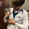 Profile Picture of Christine Hook (@@christinehook) on Tiktok