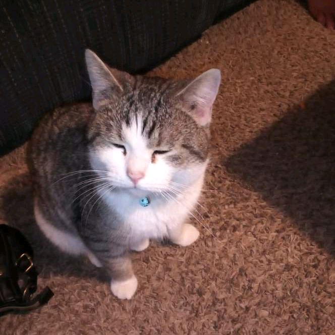 Profile Picture of sallyzirgler (@sallyzirgler) on Tiktok