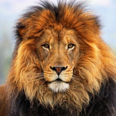 Profile Picture of Zach Charles (@zachmcharles) on Twitter