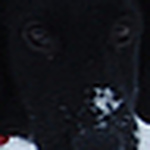 Profile Picture of Robert Pyne (@30337) on Flickr