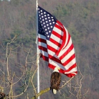 Profile Picture of Michael Crosswhite (@crosswhitevol44) on Twitter