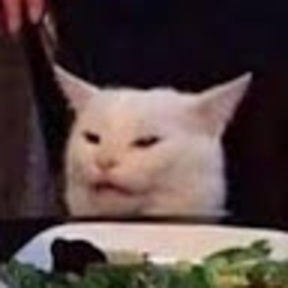 Profile Picture of Ninja Cat (@yellow_car) on Poshmark