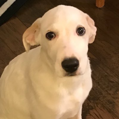 Profile Picture of Kevin F (@Kevin2paradise) on Twitter