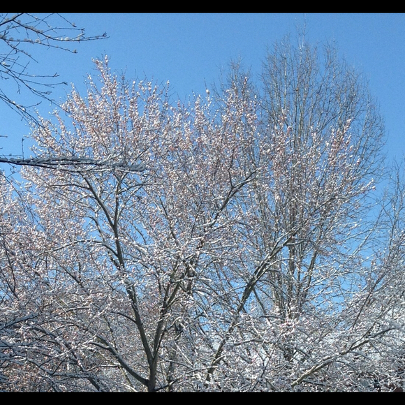 Profile Picture of Bobbijo Werren (@bwerren) on Poshmark