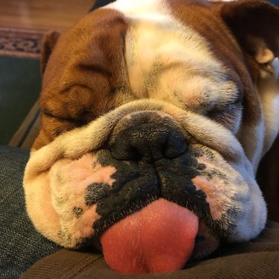 Profile Picture of Eric Hahn (@000000082200679) on Twitter