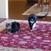 Profile Picture of Ruth Mohr (@ruth.mohr.568) on Facebook