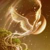 Profile Picture of Amelia Alarcon119 (@@ameliaalarcon) on Tiktok