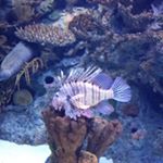 Profile Picture of Paul Deprez (@demopaje) on Instagram