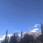 Profile Picture of Tsering palmo (@tsering977) on Instagram