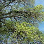 Profile Picture of Yong Choi (@choijohn316) on Flickr