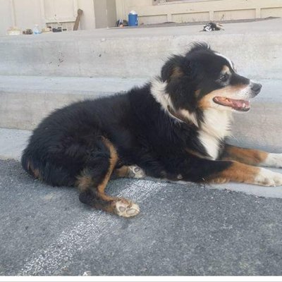 Profile Picture of Jess Boggus (@JessBoggus) on Twitter