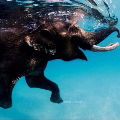 Profile Picture of Jim Kwok (@yourdailyeli) on Twitter