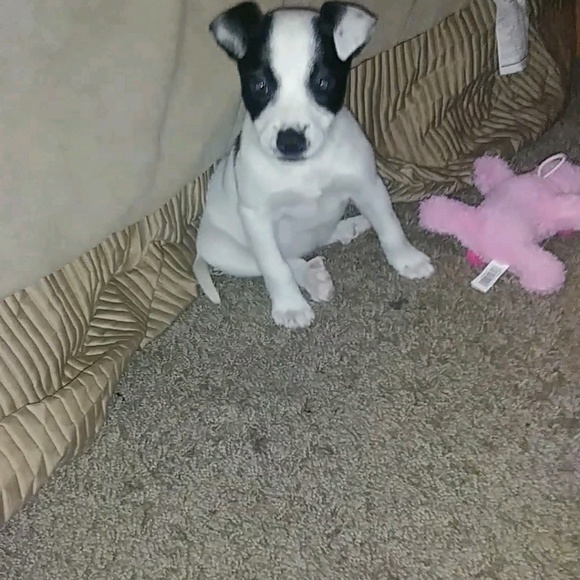 Profile Picture of Shanar Alavian (@a_shanar08) on Poshmark