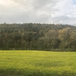 Profile Picture of larryderhummer21 (@larryderhummer21) on Instagram