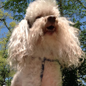 Profile Picture of Griffin Alexander (@griffinalexander5991) on Youtube