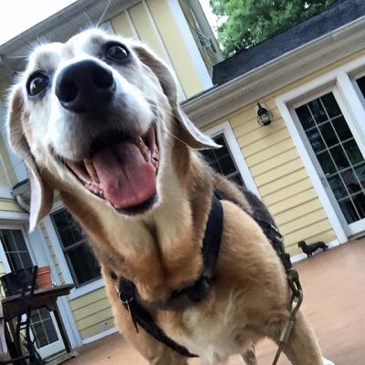 Profile Picture of Rusty Harris (@dailyrusty) on Twitter