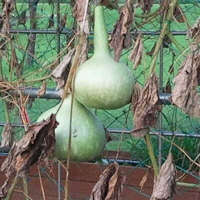 Profile Picture of Bernard Kim (@casttec) on Twitter