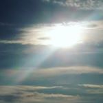 Profile Picture of Rosa Maria Ranieri (@_rosa_maria_ranieri_) on Instagram