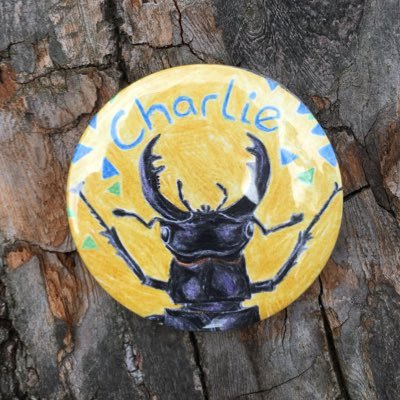 Profile Picture of Charles Linton (@ChoralLinnets) on Twitter