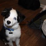 Profile Picture of Clay Goodloe (@claygoodloe) on Instagram