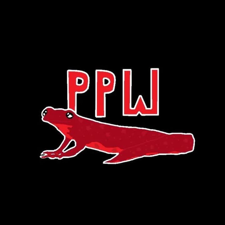 Profile Picture of PPW_INDUSTRIES (@ppw_industries) on Tiktok