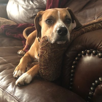 Profile Picture of Alexa Rossetti (@rossetti_alexa) on Twitter