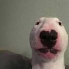 Profile Picture of   mirja (@mirja.lyyyy) TikTok... (@mirja.lyyyy) on Tiktok