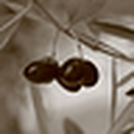 Profile Picture of Brad T Schaffer (@Brad T Schaffer) on Flickr
