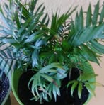 Profile Picture of Andrew Chinnery (@andrew.chinnery.98) on Facebook