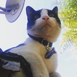 Profile Picture of Marcelo Marquez Nuñez (@marcelo_fernando_mn) on Instagram