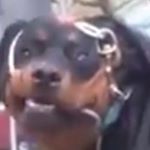 Profile Picture of justin (@justin.rickard) on Instagram