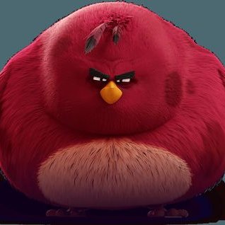 Michael Kerpen - Twitter Profile Picture of Michael Kerpen (@Schuey46) on Twitter