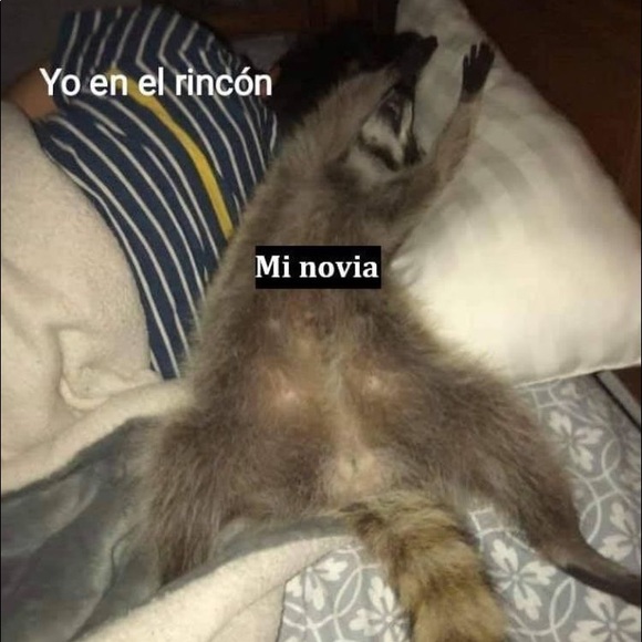 Profile Picture of Alejandro Matos babastro (@alejandromat474) on Poshmark