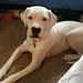 Profile Picture of aaron gosnell (@agosnell854) on Pinterest