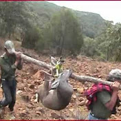 Jose Zuno - Youtube Profile Picture of Jose Zuno (@jgzuno) on Youtube