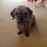 Profile Picture of Gary Childs (@dexter2015gary) on Instagram