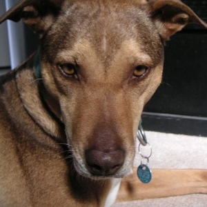 Profile Picture of Gregg Black (@crackerfhd) on Myspace