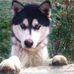 Profile Picture of Raymond Casanova (@raymond.casanova.7121) on Facebook