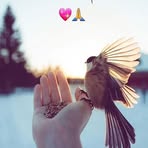 Profile Picture of Sam Chang (@Sam-Chang) on Facebook