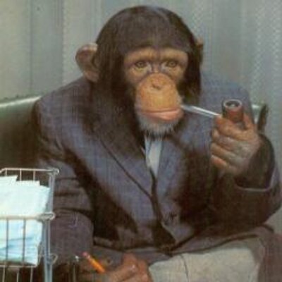 Profile Picture of The Joe Bogdan (@RealJoeBogdan) on Twitter