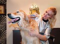Profile Picture of Dog grooming - Wikipediaon Wikipedia