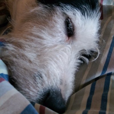 Profile Picture of David Loveridge (@DaveTenThousand) on Twitter