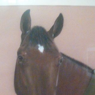 Profile Picture of Joanne Jaques (@Joanne-Jaques) on Facebook