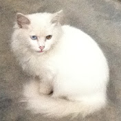 Profile Picture of Bryan Chan (@longzhuzhu) on Youtube